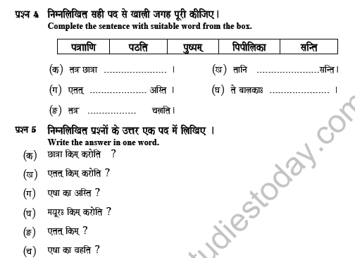 CBSE Class 5 Sanskrit Question Paper Set L 2