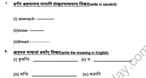 CBSE Class 5 Sanskrit Revision Worksheet Set C Solved 2