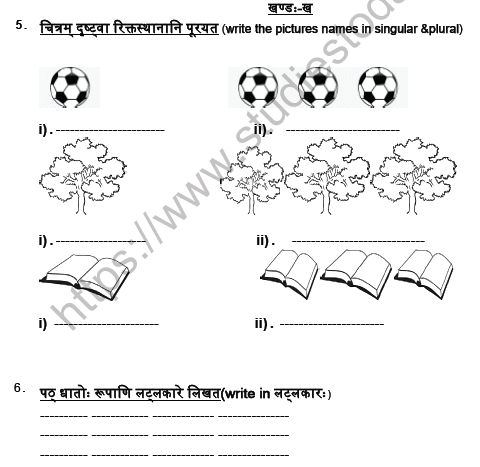 CBSE Class 5 Sanskrit Revision Worksheet Set C Solved 3