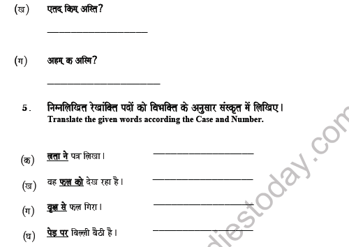 CBSE Class 5 Sanskrit Revision Worksheet Set K Solved 2