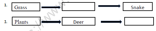 CBSE Class 5 Science Interdependence In Nature Worksheet 1