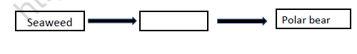 CBSE Class 5 Science Interdependence In Nature Worksheet 2