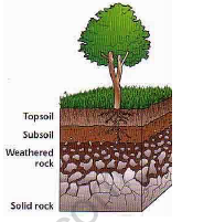 CBSE Class 5 Science Soil Erosion And Conservation Worksheet 2