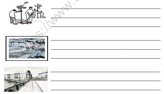 CBSE Class 5 Science Soil Erosion And Conservation Worksheet 3