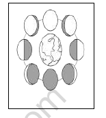 CBSE Class 5 Science The Moon Worksheet