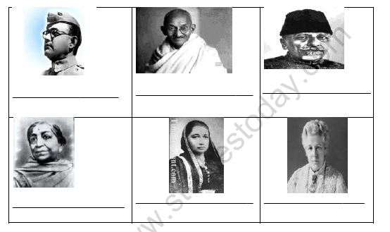 CBSE Class 5 Social Science Gandhiji Leads The Nation Worksheet Set B