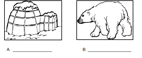 CBSE Class 5 Social Science Greenland The Land of Ice And Snow Worksheet 1