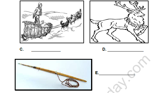 CBSE Class 5 Social Science Greenland The Land of Ice And Snow Worksheet 2