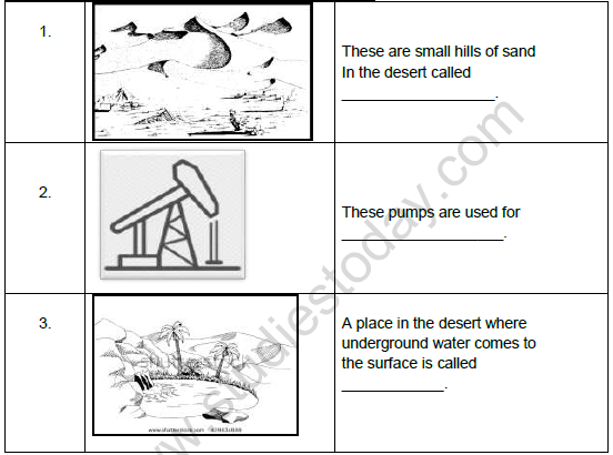 CBSE Class 5 Social Science Saudi Arabia The land of Hot Sands Worksheet