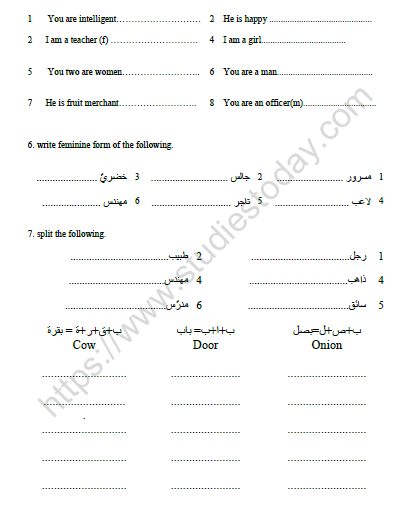 CBSE Class 6 Arabic Worksheet Set E 2