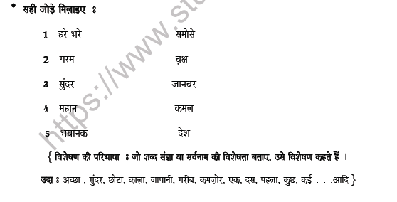 CBSE Class 6 Hindi Adjective Worksheet Set D 3