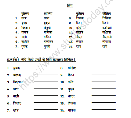 CBSE Class 6 Hindi Gender Worksheet Set B 1