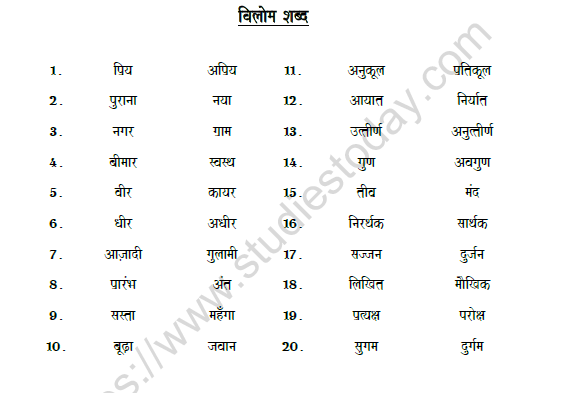 CBSE Class 6 Hindi Opposites Worksheet Set A 1