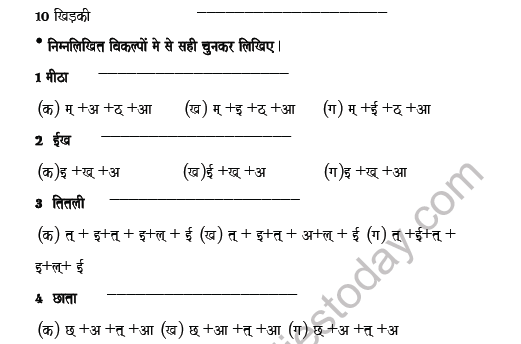CBSE Class 6 Hindi Orthography Worksheet Set A 3