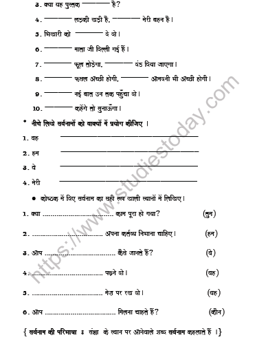 CBSE Class 6 Hindi Pronoun Worksheet Set B 2