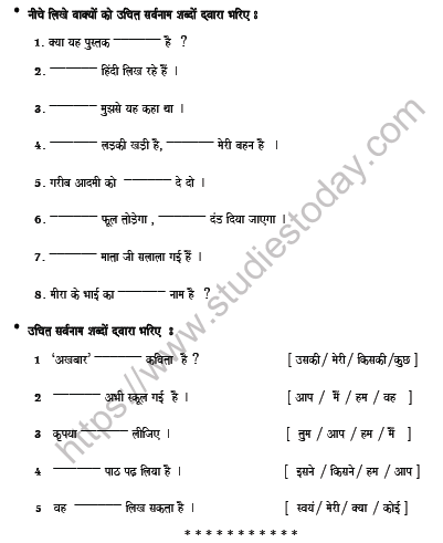 CBSE Class 6 Hindi Pronoun Worksheet Set C 2