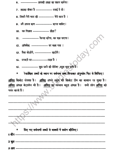 CBSE Class 6 Hindi Pronoun Worksheet Set D 2