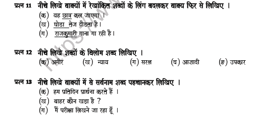 CBSE Class 6 Hindi Question Paper Z Solved 3