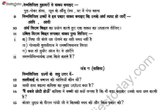 CBSE Class 6 Hindi Revision Worksheet Set A 5