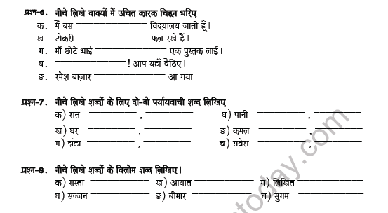 CBSE Class 6 Hindi Revision Worksheet Set L 3