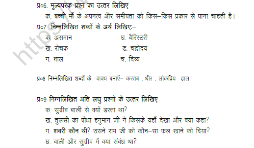 CBSE Class 6 Hindi Worksheet Set C 3