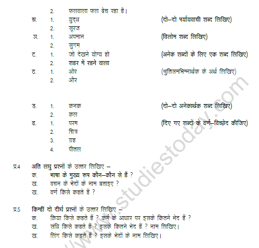 CBSE Class 6 Hindi Worksheet Set D 2