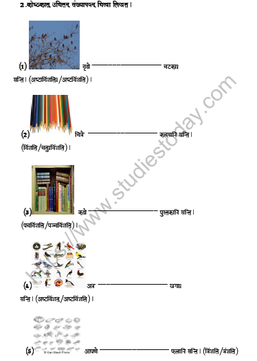 CBSE Class 6 Sanskrit Numbers Worksheet 2