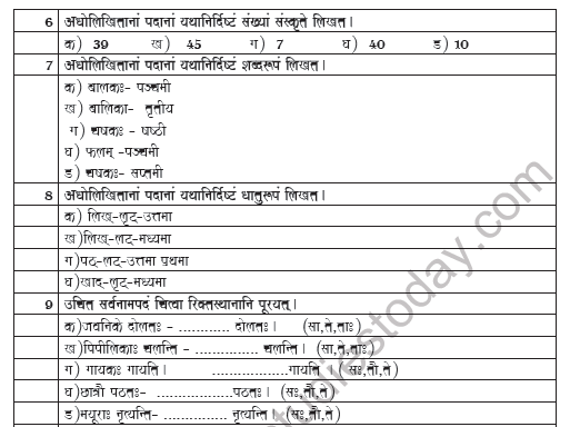 CBSE Class 6 Sanskrit Worksheet Set B 2