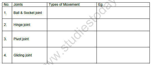 CBSE Class 6 Science Body Movements Worksheet Set A 1