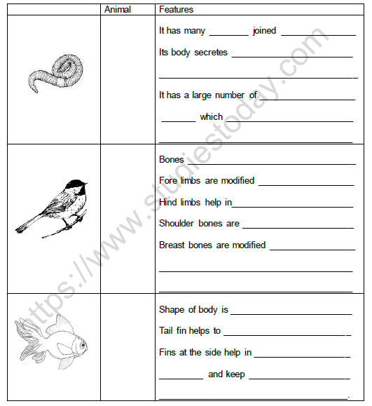 CBSE Class 6 Science Body Movements Worksheet Set B