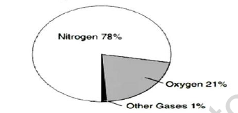 CBSE Class 6 Science Worksheet Set I 5