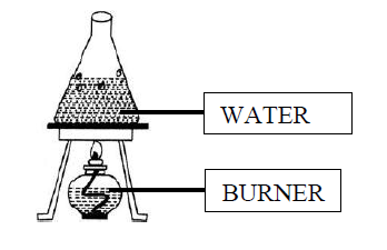 CBSE Class 6 Science Worksheet Set O 3