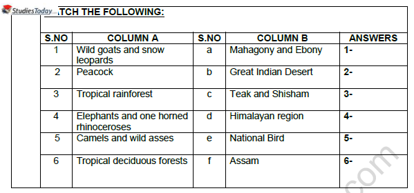 CBSE Class 6 Social Science Climate, Vegetation and Wildlife Worksheet Set B