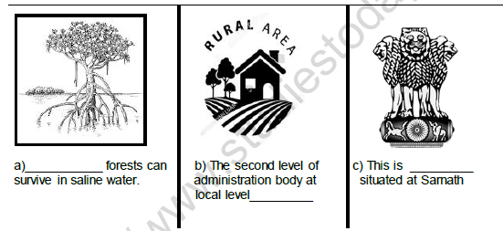 CBSE Class 6 Social Science Question Paper Set 2 Solved