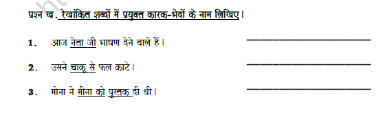 CBSE Class 7 Hindi Case Worksheet Set B 2