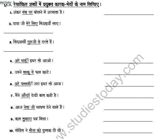 CBSE Class 7 Hindi Case Worksheet Set C 2