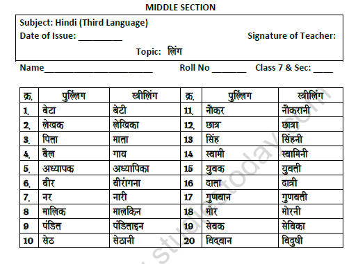 CBSE Class 7 Hindi Gender Worksheet 1