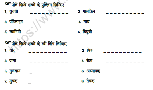 CBSE Class 7 Hindi Gender Worksheet 2