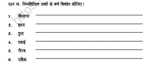 CBSE Class 7 Hindi Letter Disjoint Worksheet Letter Set B 2