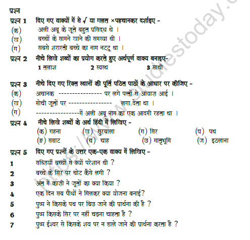 CBSE Class 7 Hindi Question Paper Set 9 Solved 1
