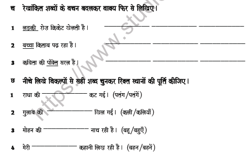 CBSE Class 7 Hindi Worksheet Set M Solved 3