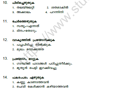 CBSE Class 7 Malayalam Question Paper Set L 3