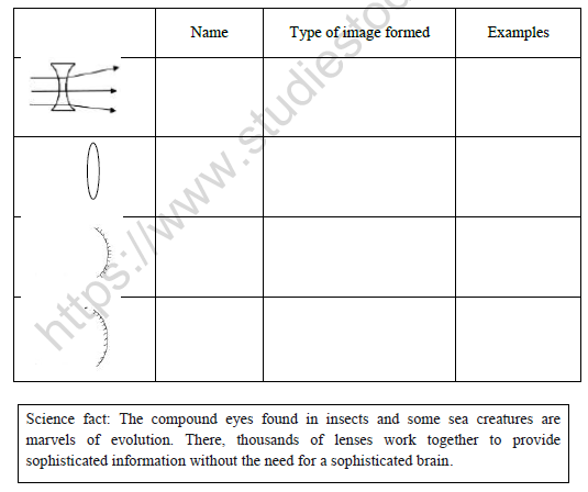 CBSE Class 7 Science Light Worksheet Set C 1
