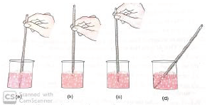 CBSE Class 7 Science Worksheet Set A 1