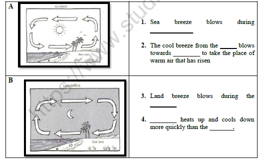 CBSE Class 7 Social Science Air Worksheet Set B