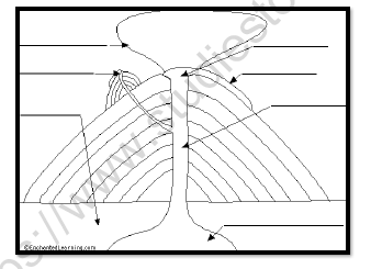 CBSE Class 7 Social Science Our Changing Earth Worksheet Set B