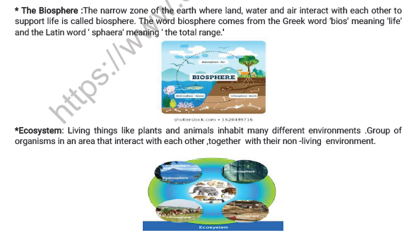 CBSE Class 7 Social Science Our Environment Worksheet 4