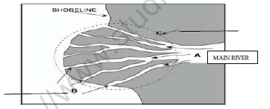 CBSE Class 7 Social Science Question Paper Set 7 Solved