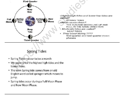 CBSE Class 7 Social Science Water Worksheet Set B