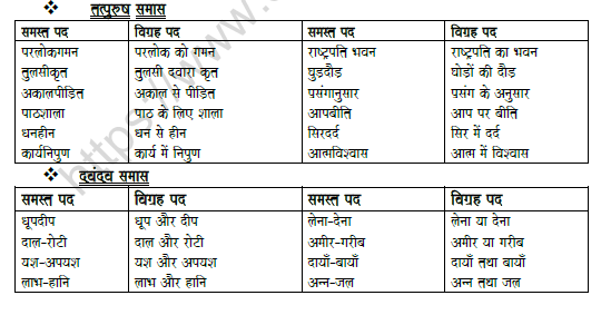 CBSE Class 8 Hindi Compound Worksheet Set B 2